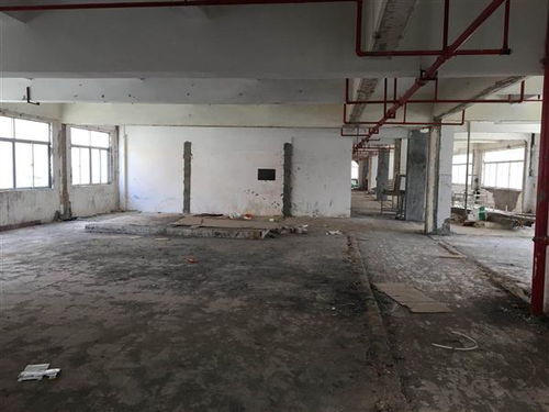 珠海市厂房承载力检测与鉴定 筑牢房屋建筑工程安全防线